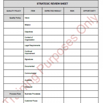 Strategic Review